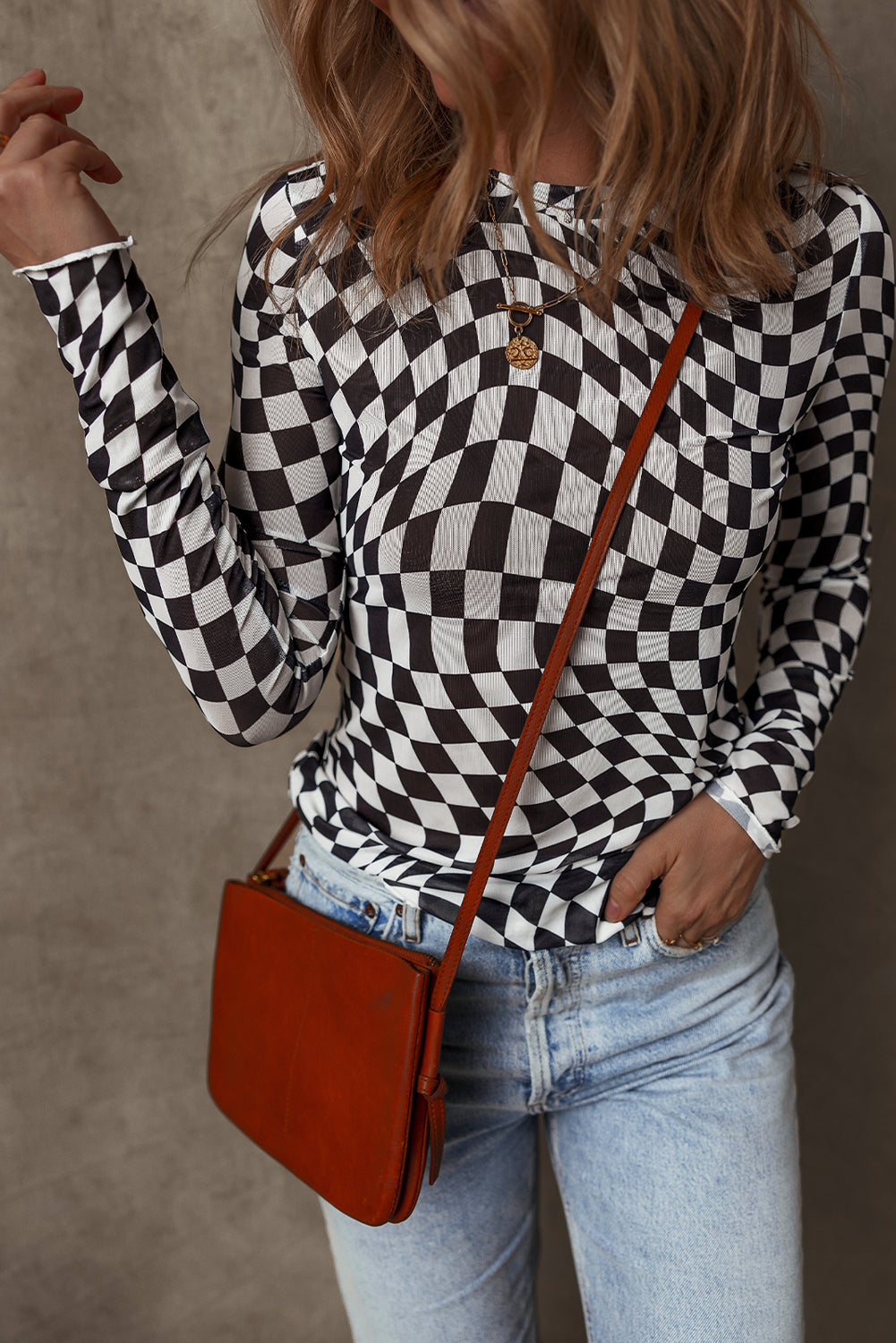 Checkered Sheer Long Sleeve Mesh Top