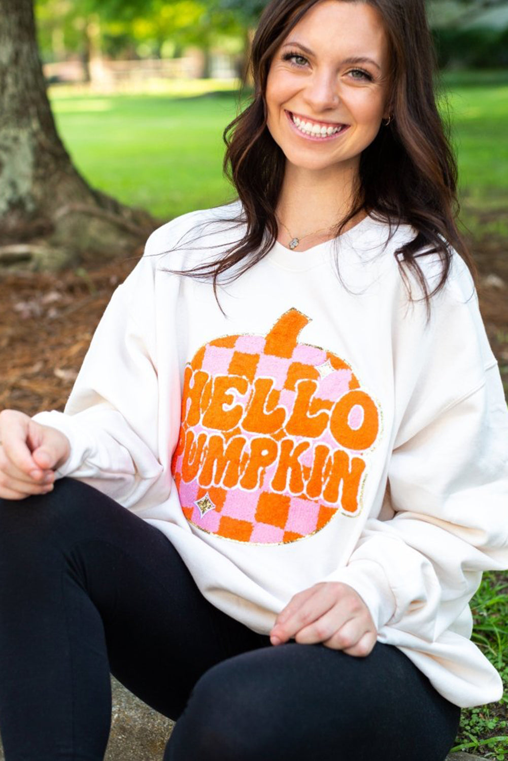 Chenille "HELLO PUMPKIN" White Graphic Sweatshirt