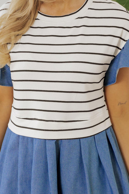 Denim Stripe Ruffle Mini Dress