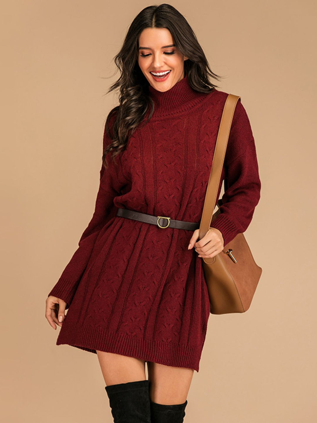 Turtleneck Long Sleeve Mini Sweater Dress