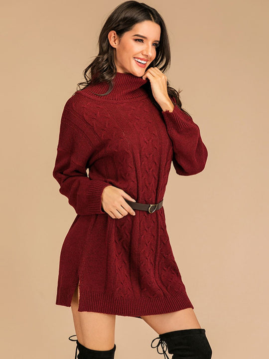 Turtleneck Long Sleeve Mini Sweater Dress