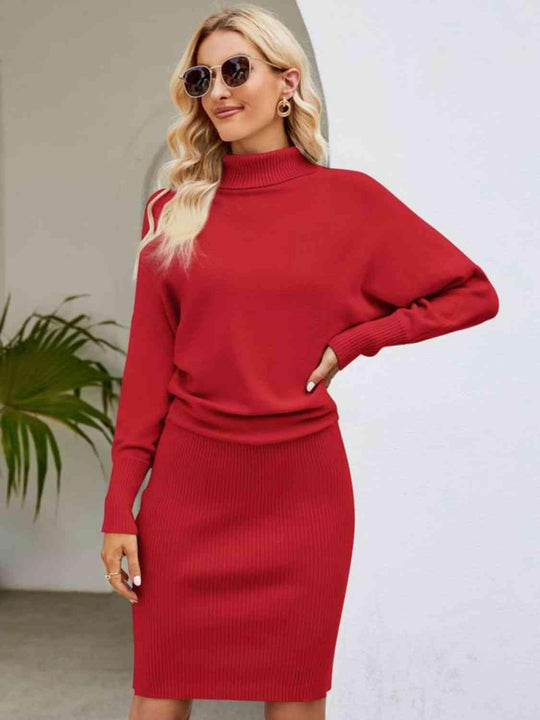 Turtleneck Long Sleeve Sweater Dress 