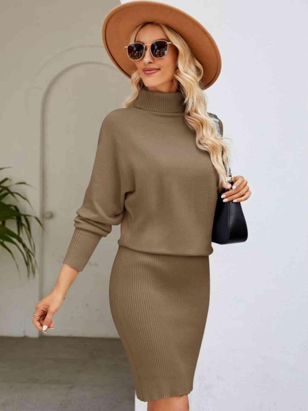 Turtleneck Long Sleeve Sweater Dress 